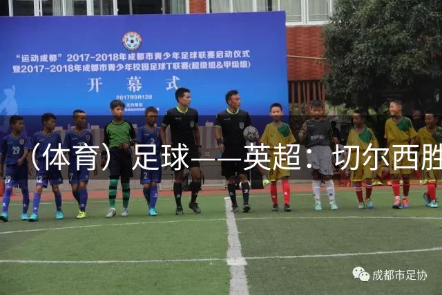 （体育）足球——英超：切尔西胜布莱顿